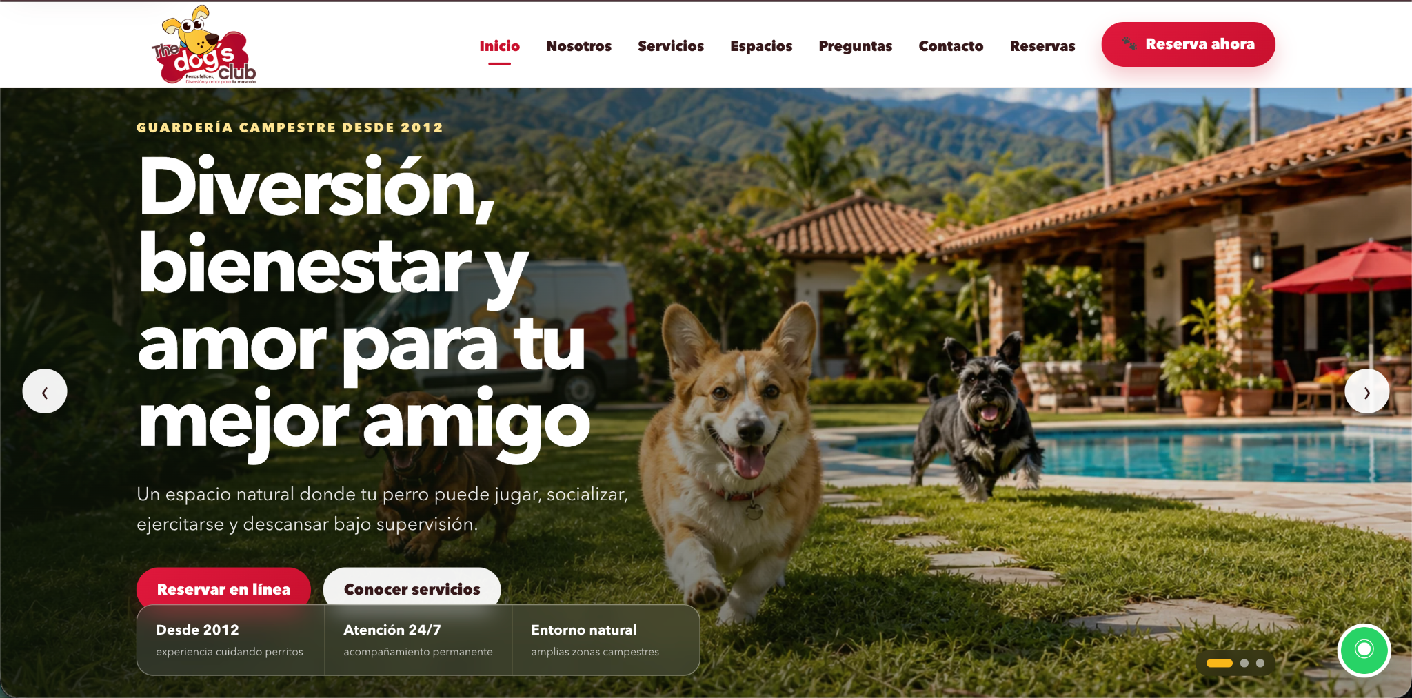 The Dogs Club